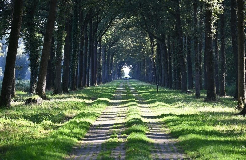 Dagwandeling doetinchem