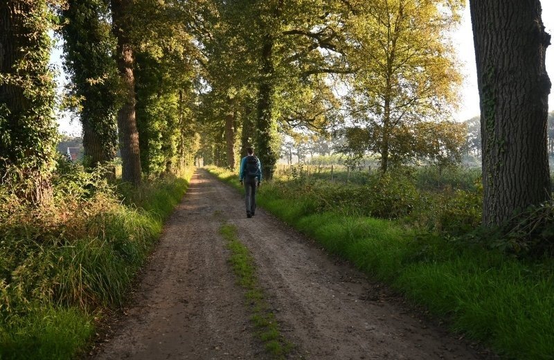 Doetinchem wandelen omgeving