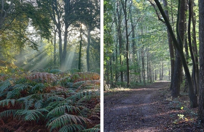 In de omgeving kleine camping overijssel