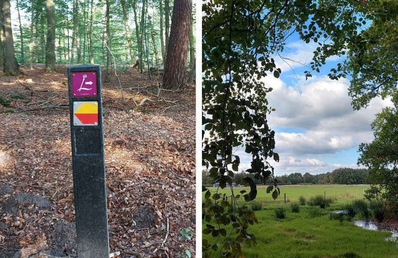 In de omgeving nabij kleine camping zelhem