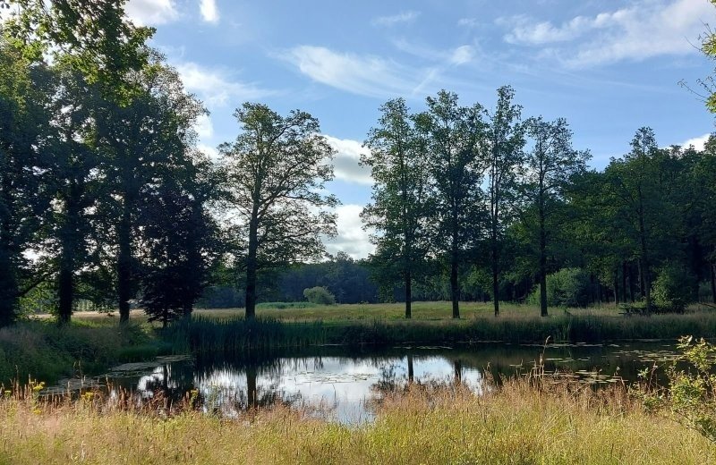 Kleine camping achterhoek omgeving nabij