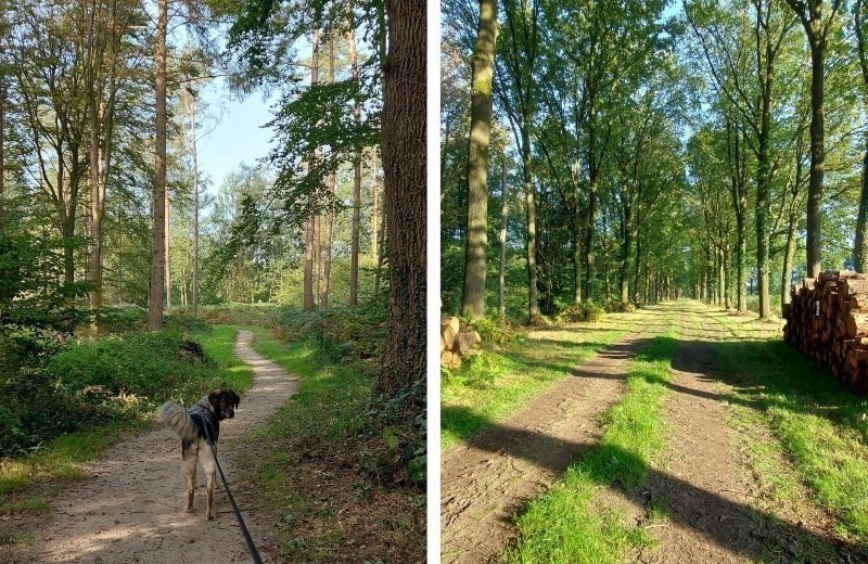 Kleine camping achterhoek omgeving 677cfbf1417ae