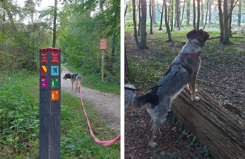 Kleine camping in overijssel omgeving