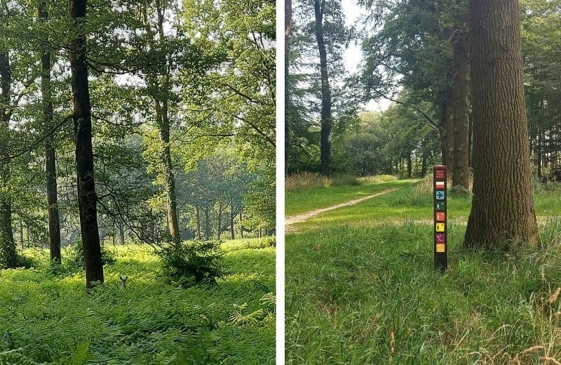 Kleine camping overijssel omgeving nabij