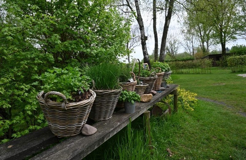 Kleine camping voor de wandelaar