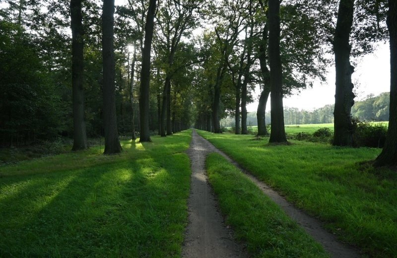 Nabij zelhem en doetinchem camping