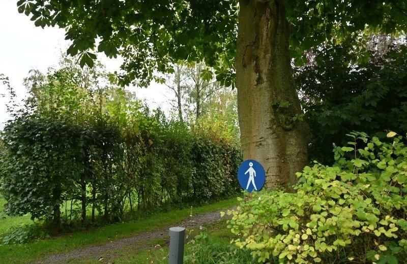 Nederland wandelcamping