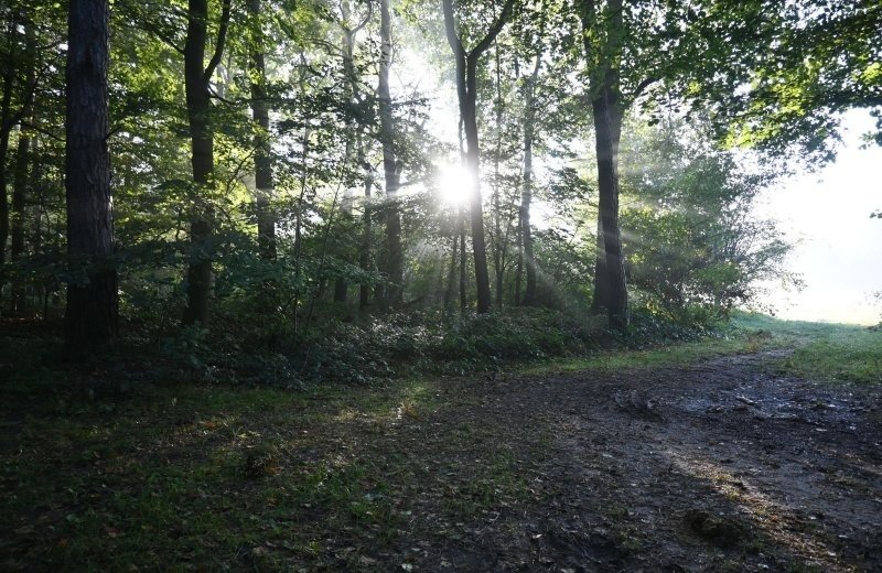 Pieterpad camping in de omgeving