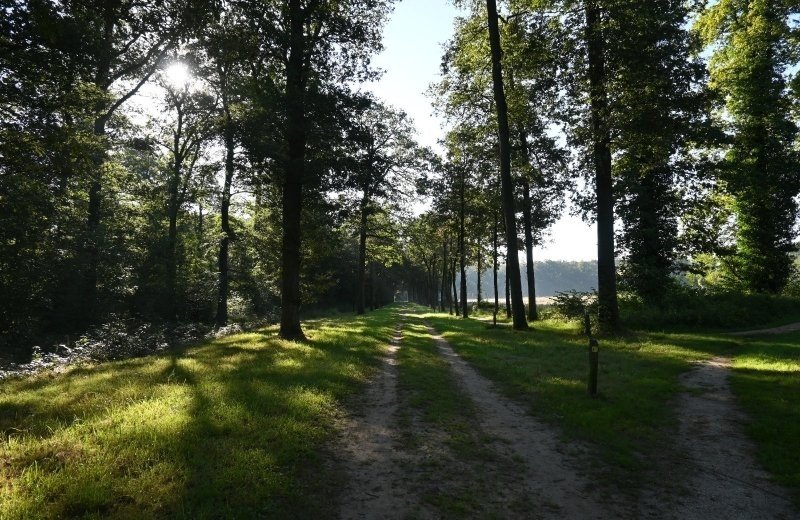 Pluk de dag slangenberg