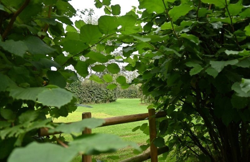 Wandelcamping sfeerimpressie 2